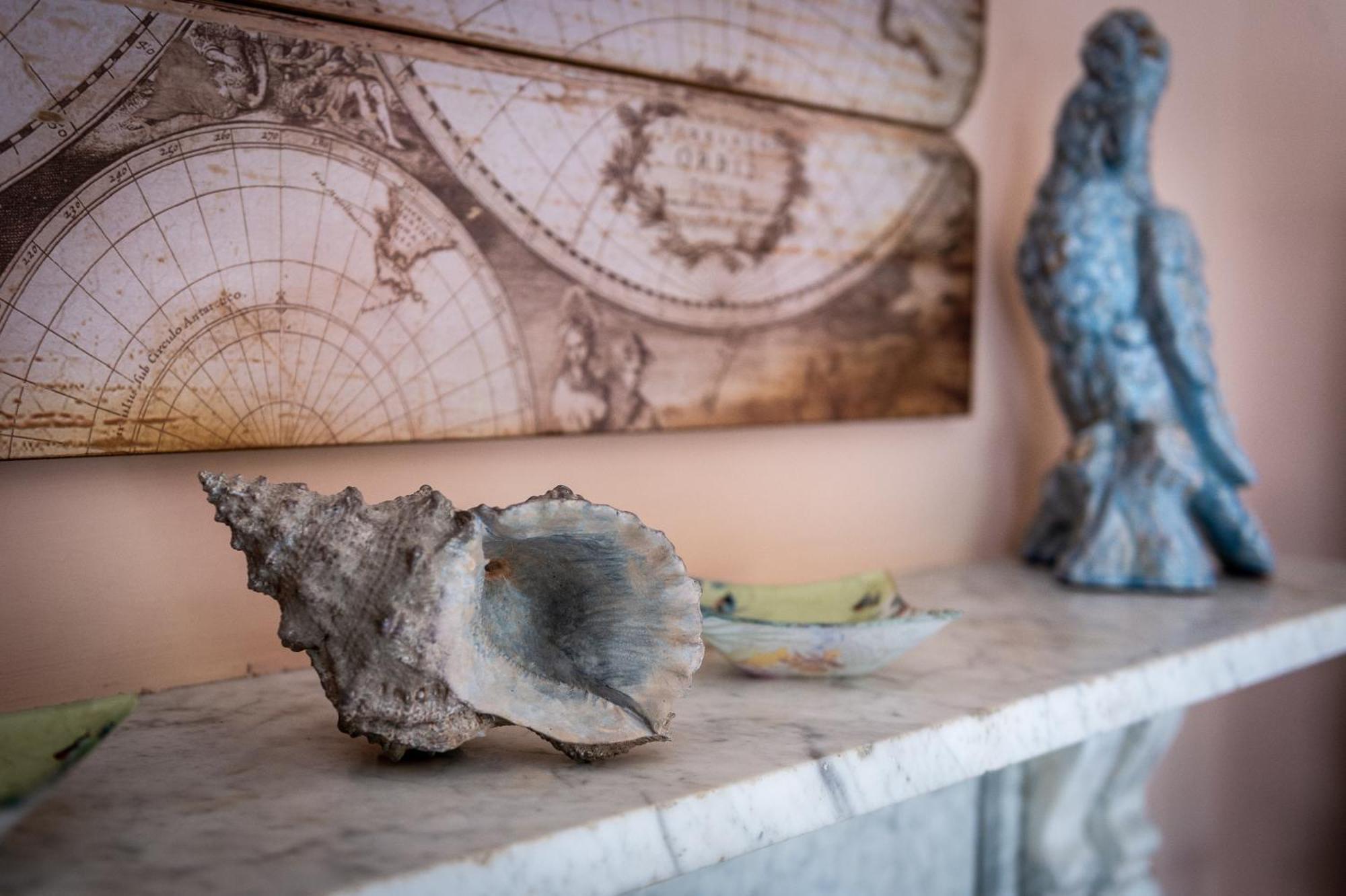 Bed and Breakfast Darwin'S Townhouse à Shrewsbury Chambre photo A conch shell